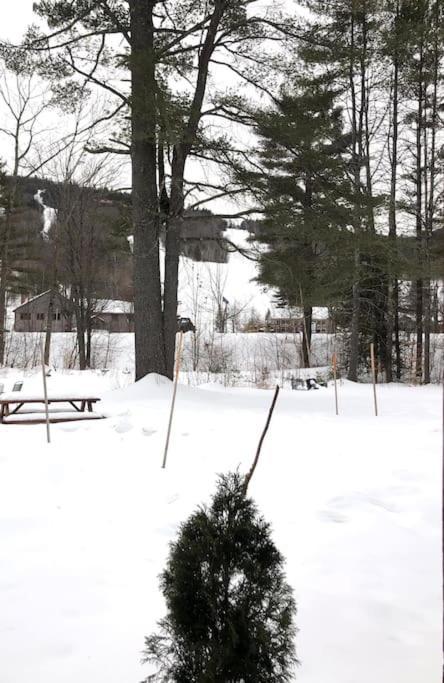Attitash Mountain Village Studio - Slope View - Ski - Storyland Bartlett Extérieur photo